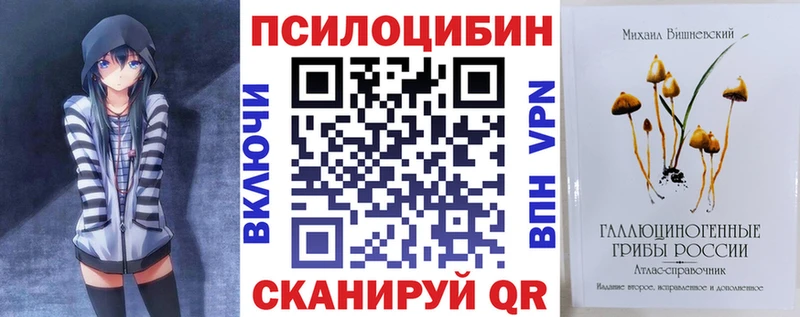 Купить закладки  Сурск  Псилоцибиновые грибы ЛСД