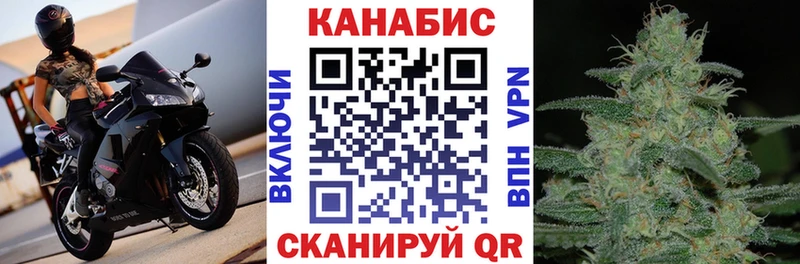 Купить где  Сурск  Канабис SATIVA & INDICA 
